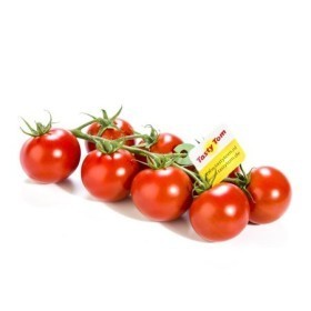 Tasty tom tomaat
